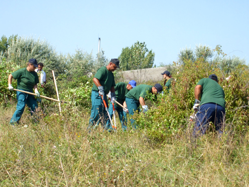 Erdőtelepítési munkálatok Gyöngyösorosziban